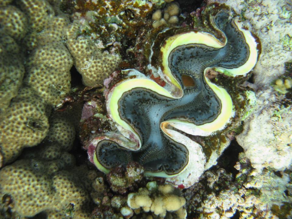 2012_02_16 rotes meer 268.jpg